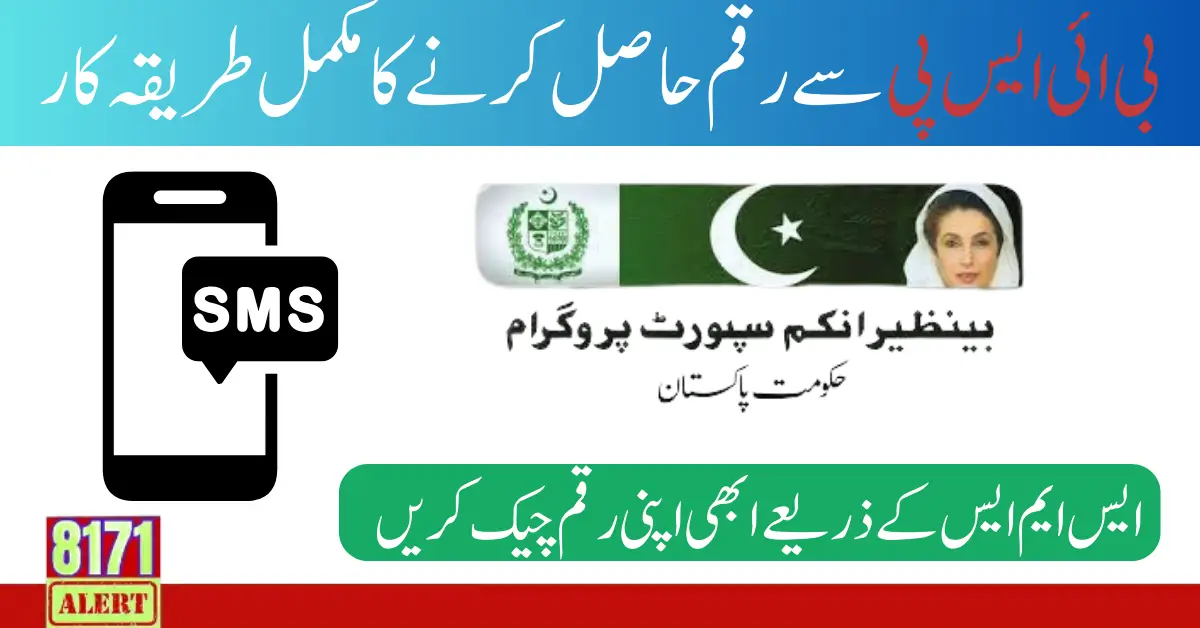 Benazir Ehsaas Payment Check Through 8171 SMS Service