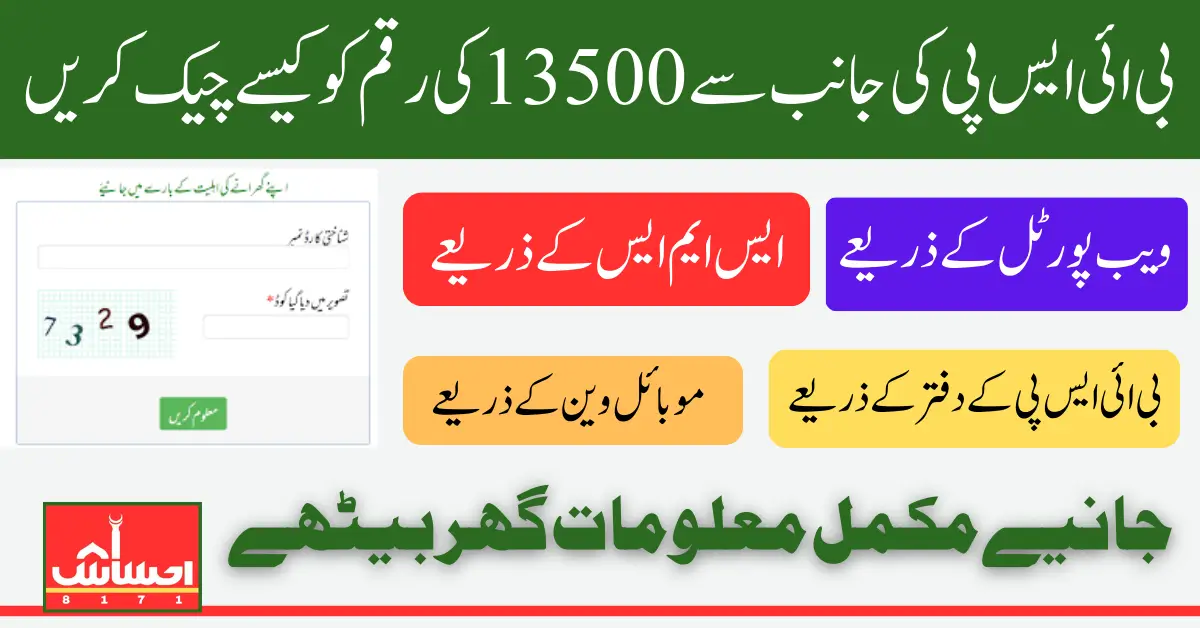 BISP 8171 Balance Check In 2025 Step by Step Guide to Web Portal and SMS