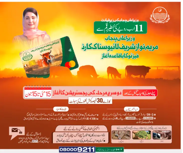 CM Punjab Livestock Card Phase 2 Started For People Who Meet Eligibility criteria