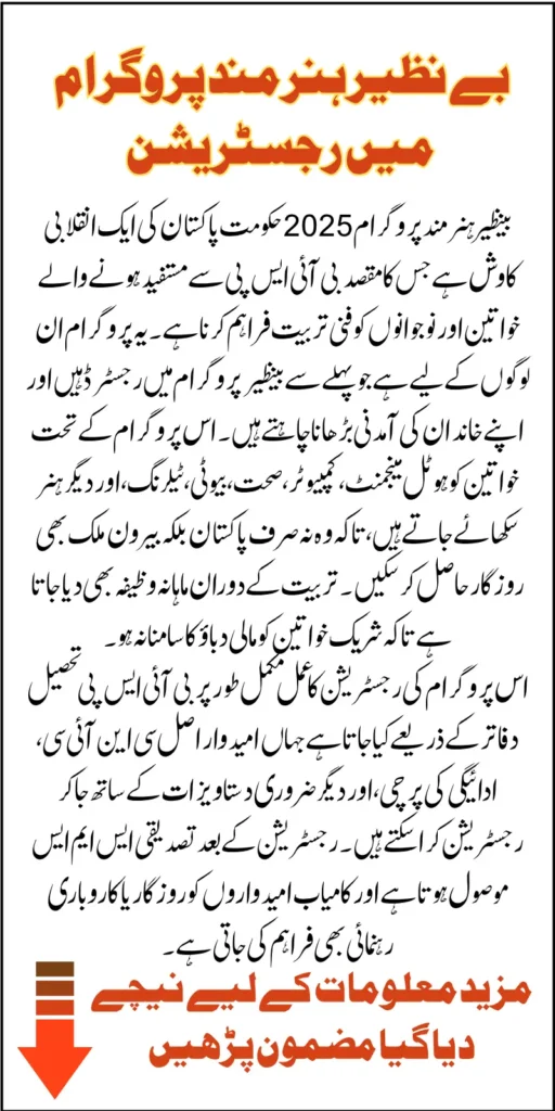 Benazir Hunarmand Program Registration Via Online At Tehsil Office Know Full Process 2025